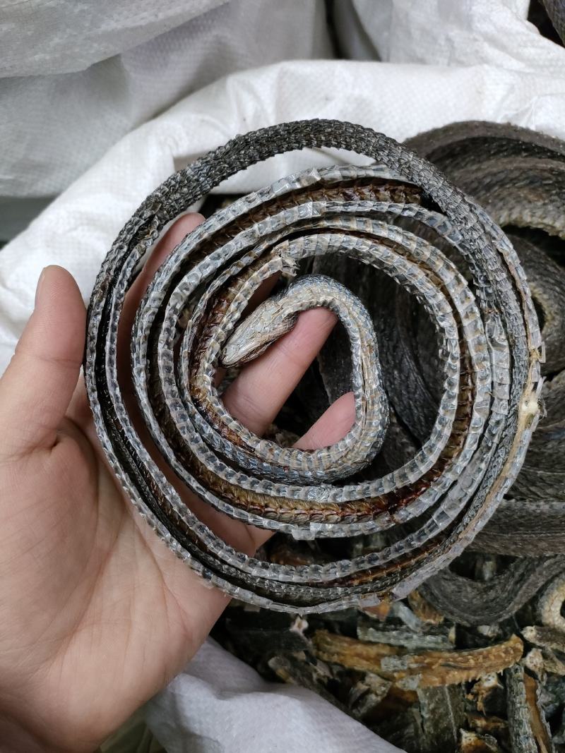 乌梢蛇，剑脊明显，干净、足干、足斤足量。