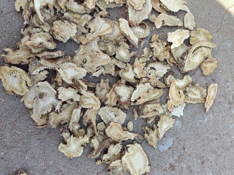 独活（统装）饮片