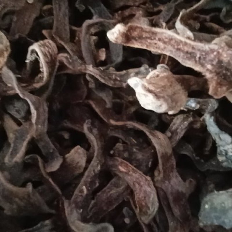 骨碎朴又名巴岩江