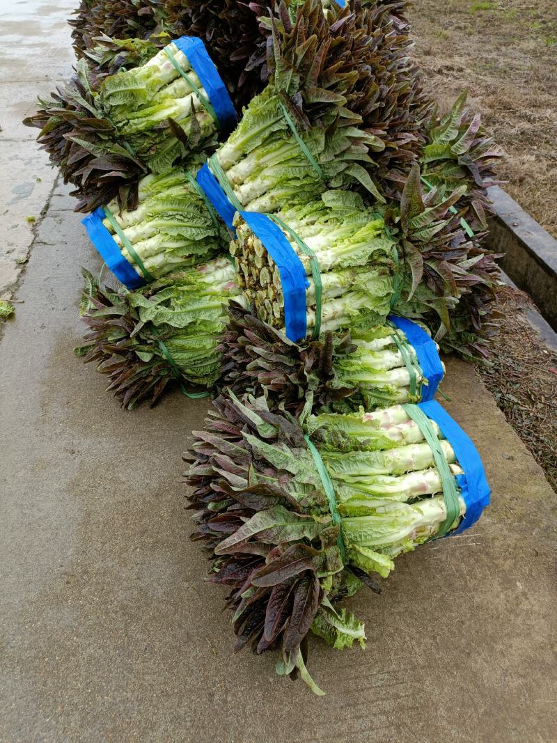 靓货不多有想法的快点下手哦