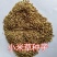 小米草种子耐高温耐水淹鱼虾蟹高产牧草种籽池塘水稻田
