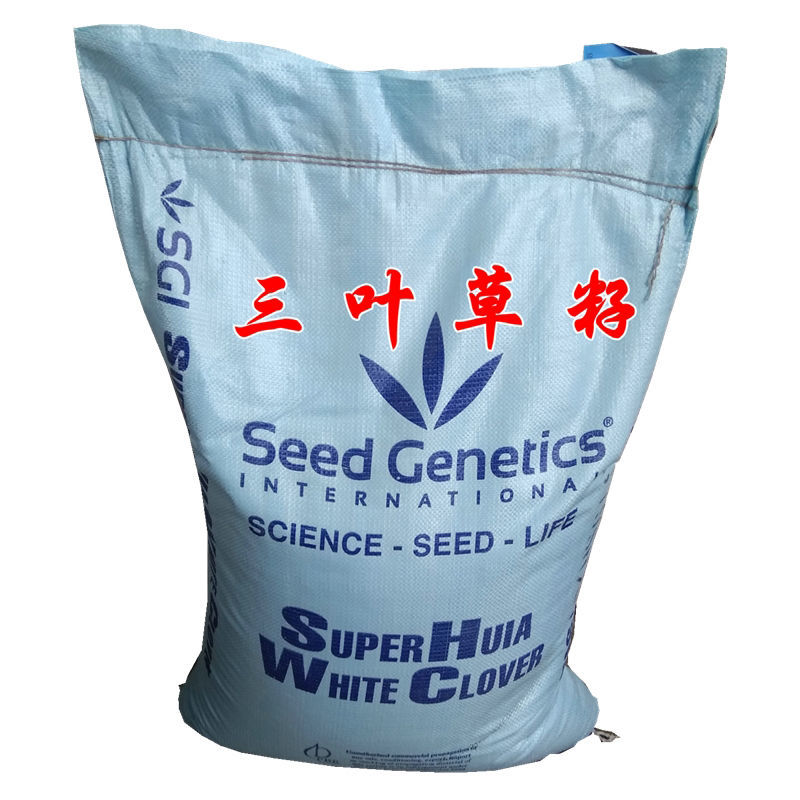白三叶草种子红三叶心形草多年生进口草籽四季青草坪果园牧草