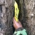 今天刚上大山找的刚挖回来过滤好。需要的朋友联系
