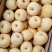 【精品】砀山酥梨，各种规格，精品货源，产地直供诚信做生意