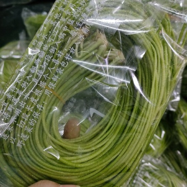 台湾野莲菜