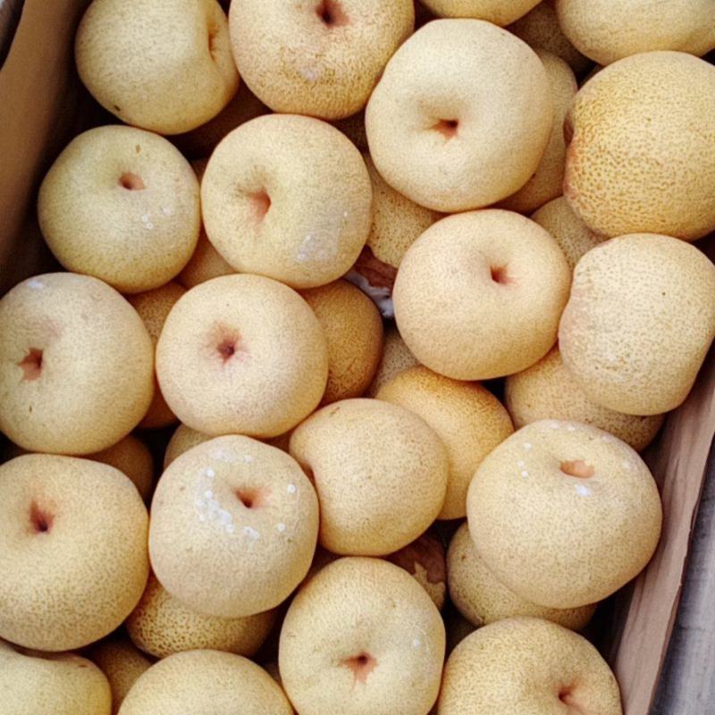 【精品】砀山酥梨，各种规格，精品货源，产地直供诚信做生意