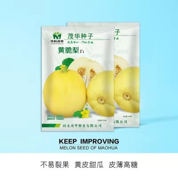 黄脆梨甜瓜种子，甜脆多汁，风味独特，抗病能力强