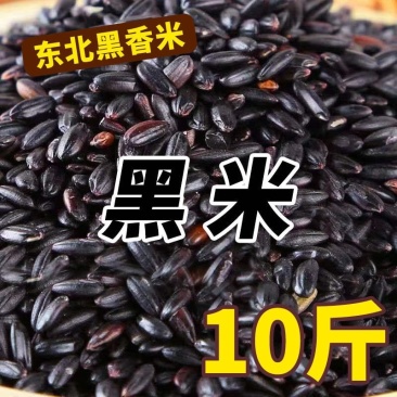 2021年新米东北黑米批发农家五谷杂粮黑大米10斤装包邮