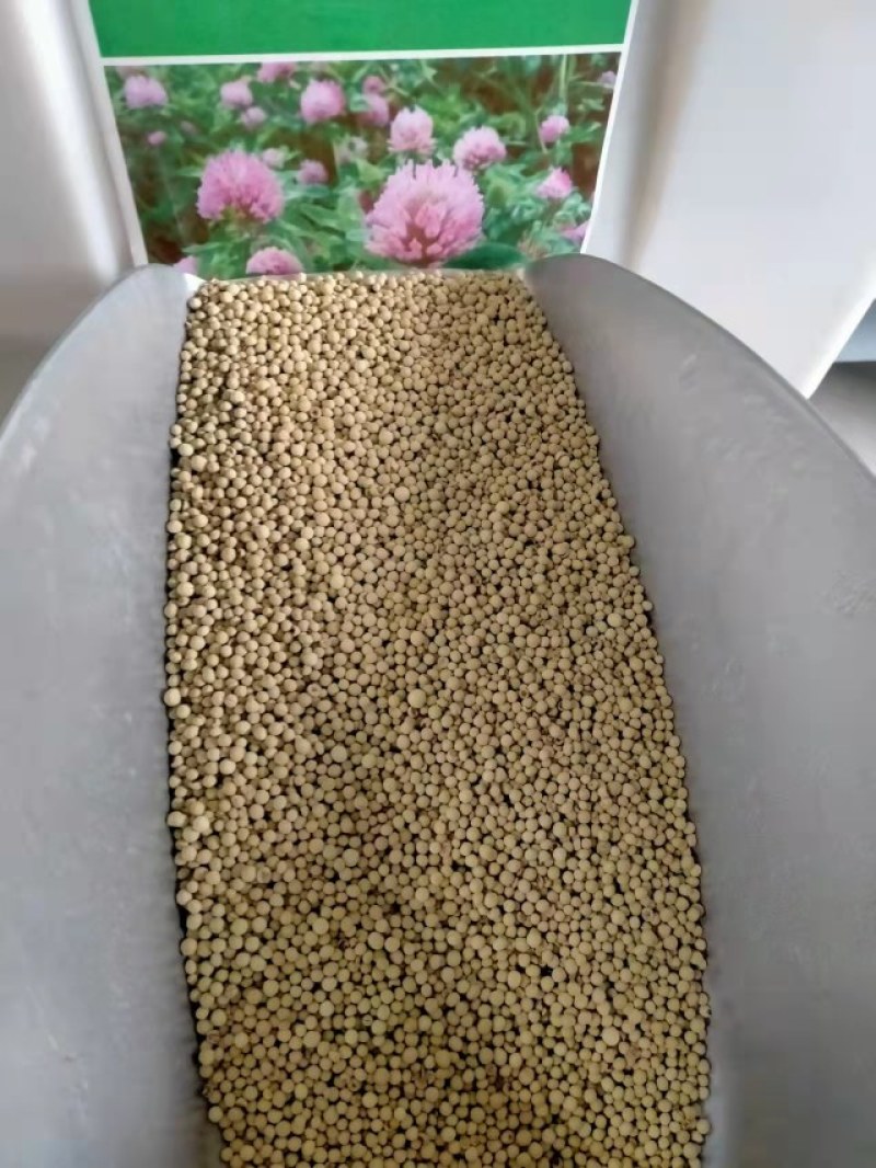 三叶草红花白花三叶车轴草种籽观赏绿化蜜源花卉饲用牧草固土