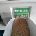 三叶草红花白花三叶车轴草种籽观赏绿化蜜源花卉饲用牧草固土