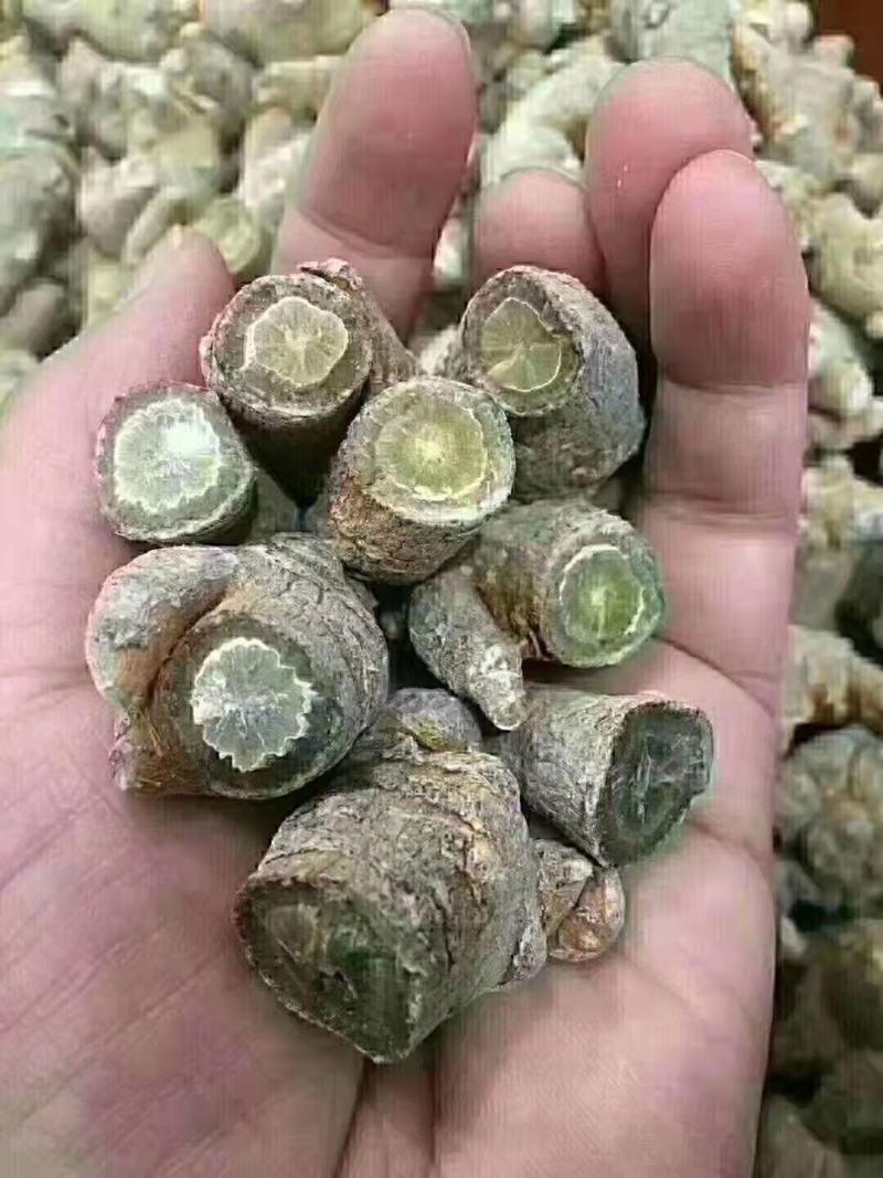 云南文山三七