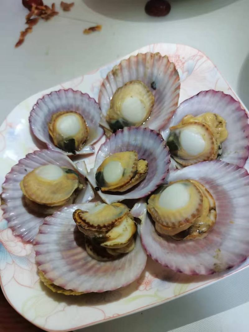 新鲜大扇贝