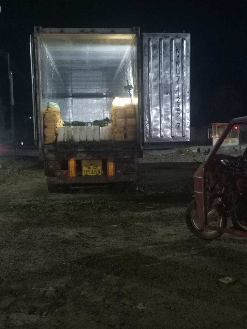 兰陵县莴笋大量上市～大量供应各大超市.电商.食堂.批发市