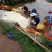 宜宾三江新区马家特产高品质无农药葱香藠头