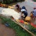 宜宾三江新区马家特产高品质无农药葱香藠头