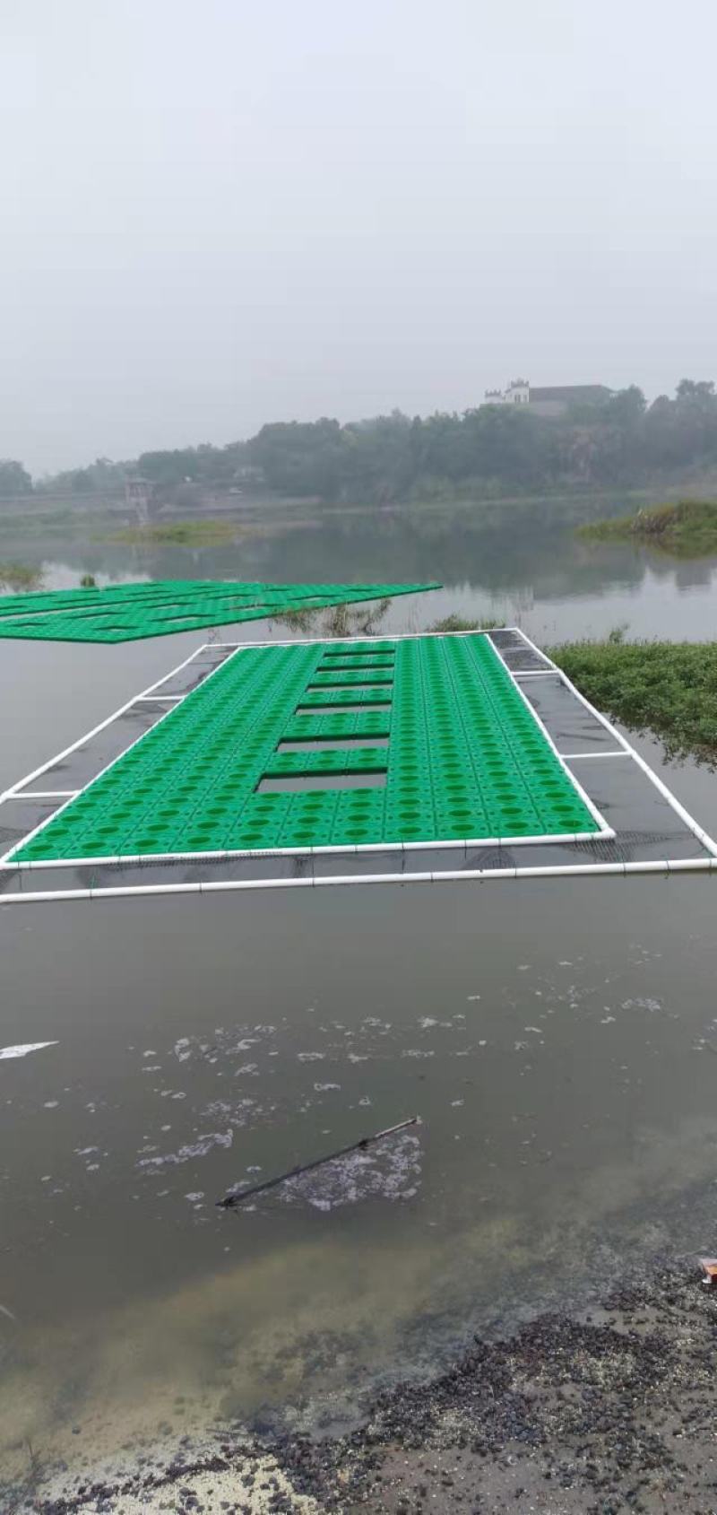水生植物精品水上浮岛