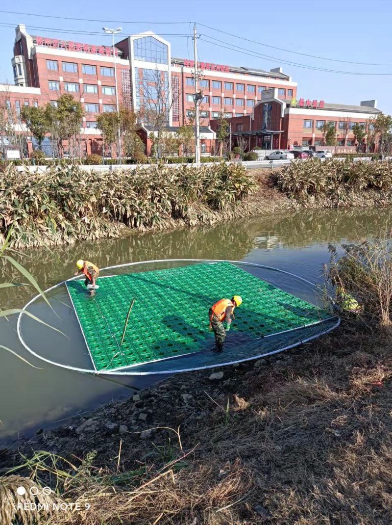 水生植物精品水上浮岛