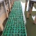 水生植物精品水上浮岛