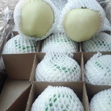 金帅苹果