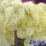四季开花浓香型丁香花树苗庭院南北方种植盆栽室内外耐寒花卉