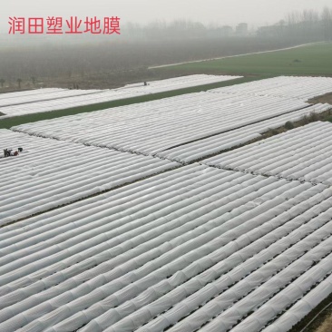 白地膜黑地膜小拱棚膜农用蔬菜大棚育秧膜玉米花生专用膜