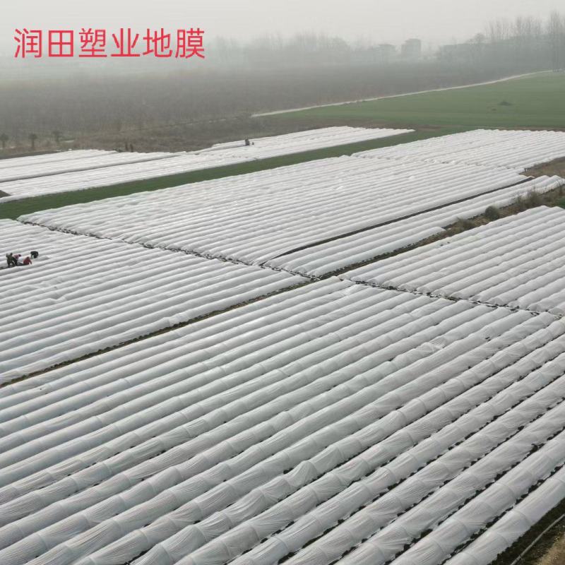 白地膜黑地膜小拱棚膜农用蔬菜大棚育秧膜玉米花生专用膜