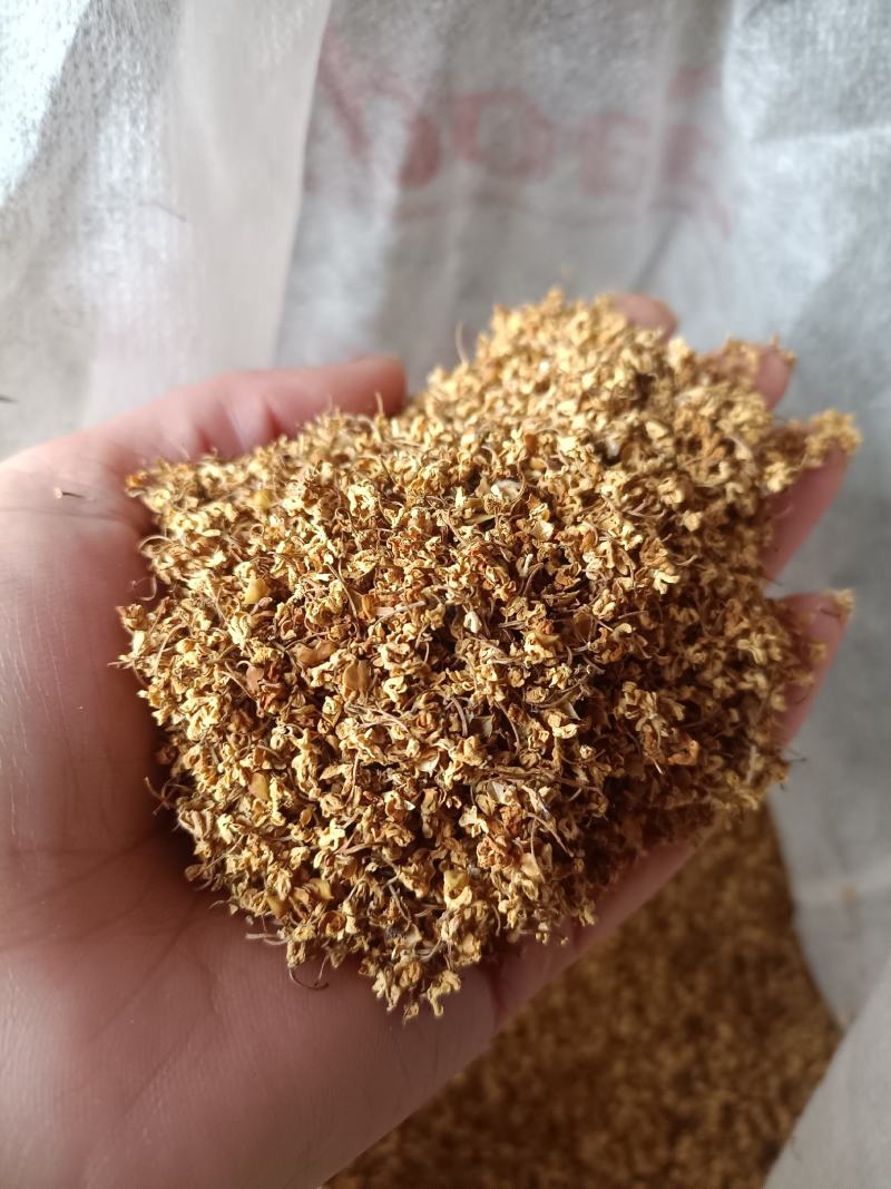 桂花干促销图片实物自然风干可用药可做茶一斤起批量大从优