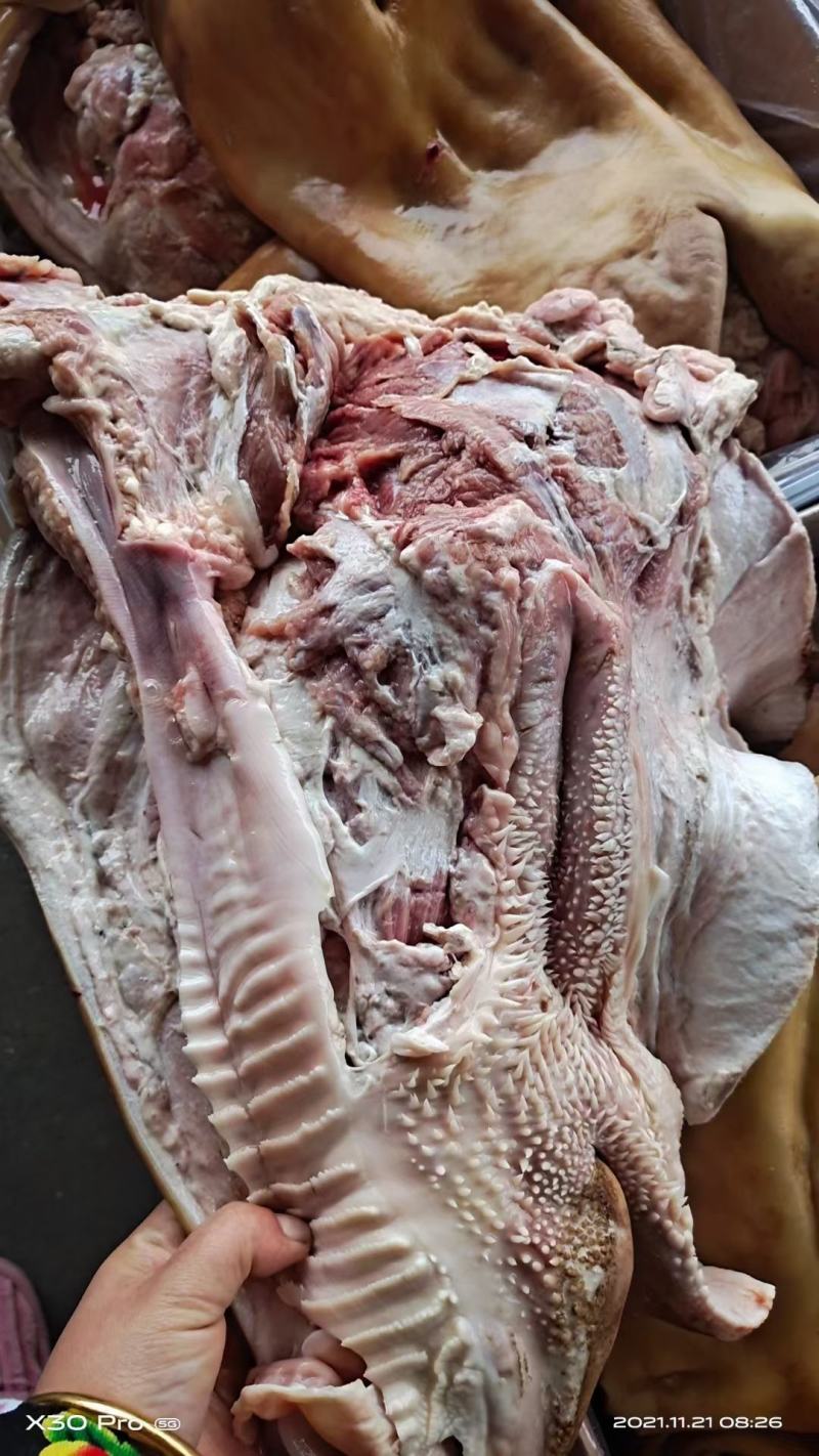 全熟牛头肉，火烧毛牛头，出成高，常年加工，纯干货。