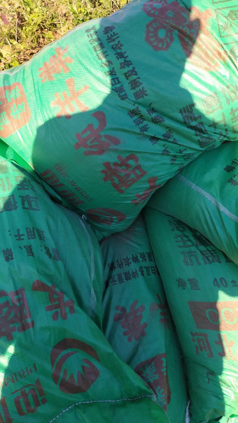 发酵羊粪有机肥疏松土壤发酵腐熟种植用肥羊粪有机肥