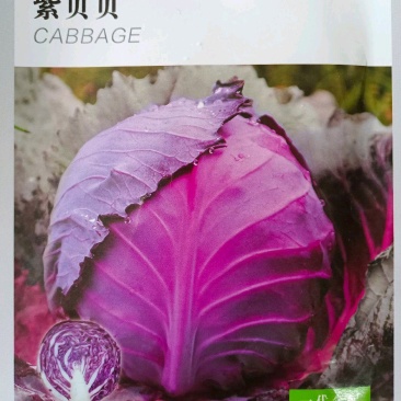 紫贝贝春秋季蔬菜高产优质种子