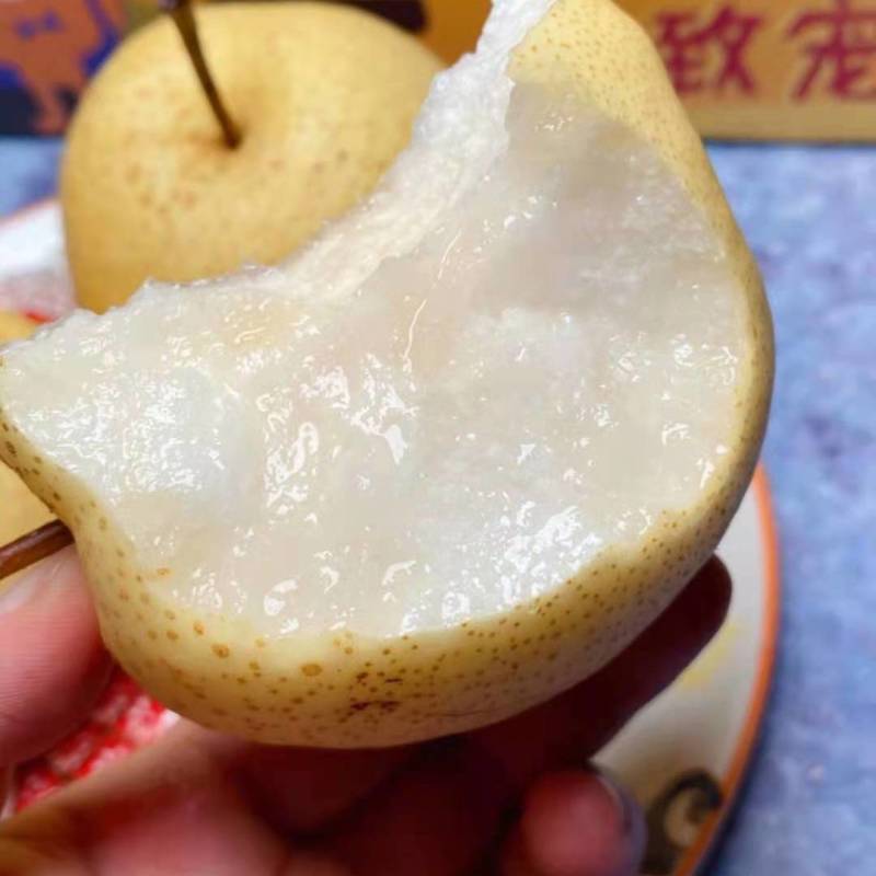 【精品】砀山酥梨，各种规格，精品货源，产地直供诚信做生意