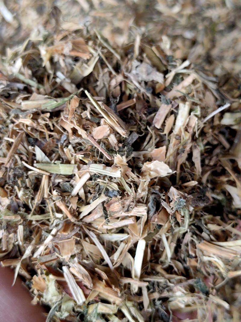 碗豆秧，牛羊好草料，无土无膜无霉变量大优惠