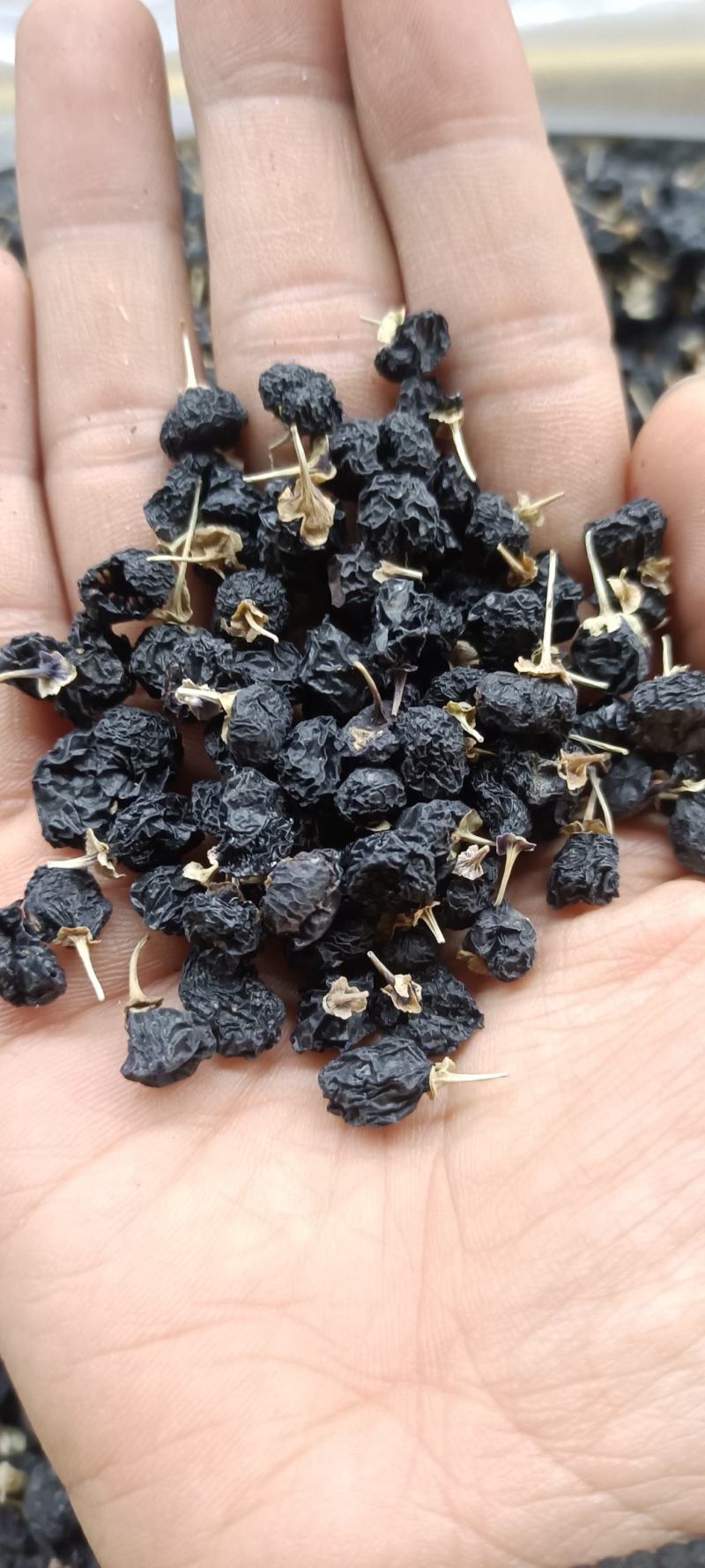 黑枸杞大货批发零售各种规格送黑枸杞袋