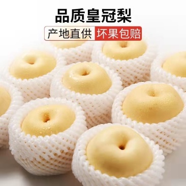 皇冠梨正宗超甜，批发价格，安徽原产地发货，量大