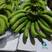 专营进口香蕉，菲律宾，上海进口，青蕉，保质保量，欢迎咨询