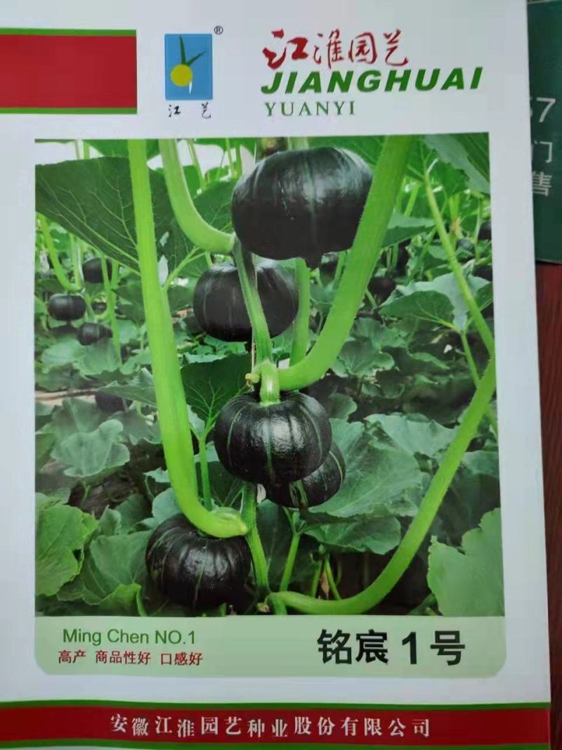 厂家直发新品种贝贝南瓜板栗南瓜银栗惠和种子包邮蔬菜种子