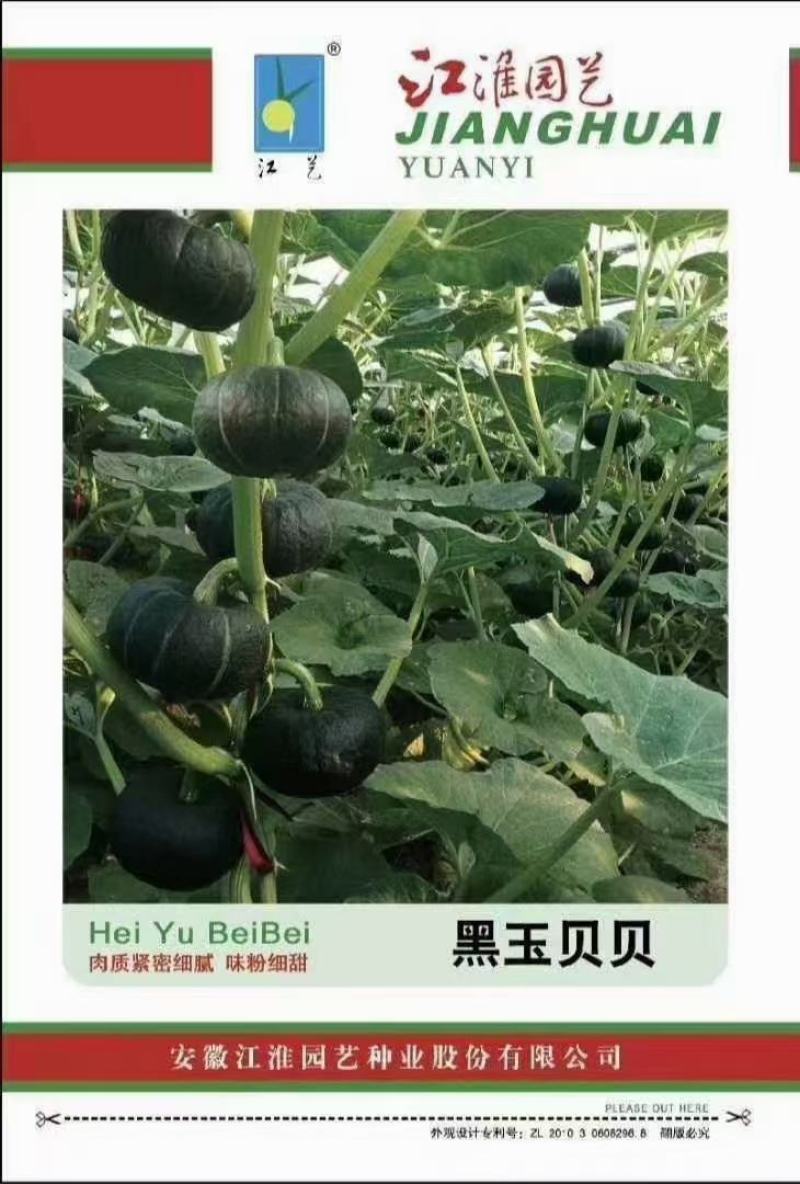 厂家直发新品种贝贝南瓜板栗南瓜银栗惠和种子包邮蔬菜种子