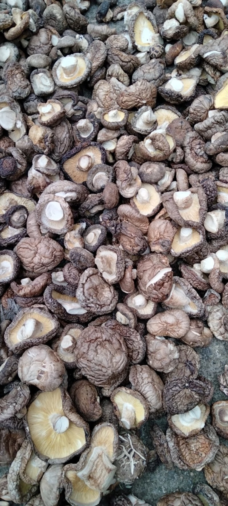 各种规格干香菇，一手货源，量大从优，欢迎联系