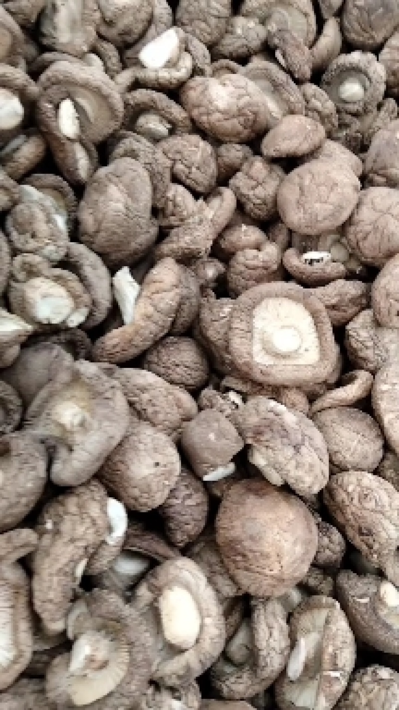 各种规格干香菇，一手货源，量大从优，欢迎联系