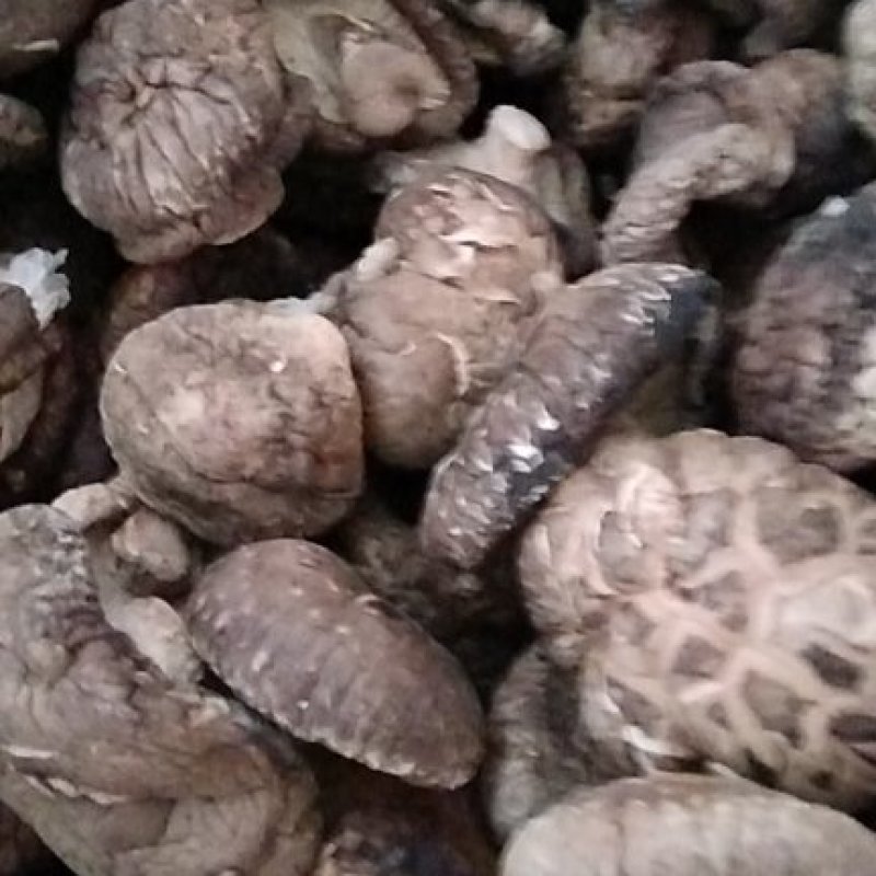各种规格干香菇，一手货源，量大从优，欢迎联系
