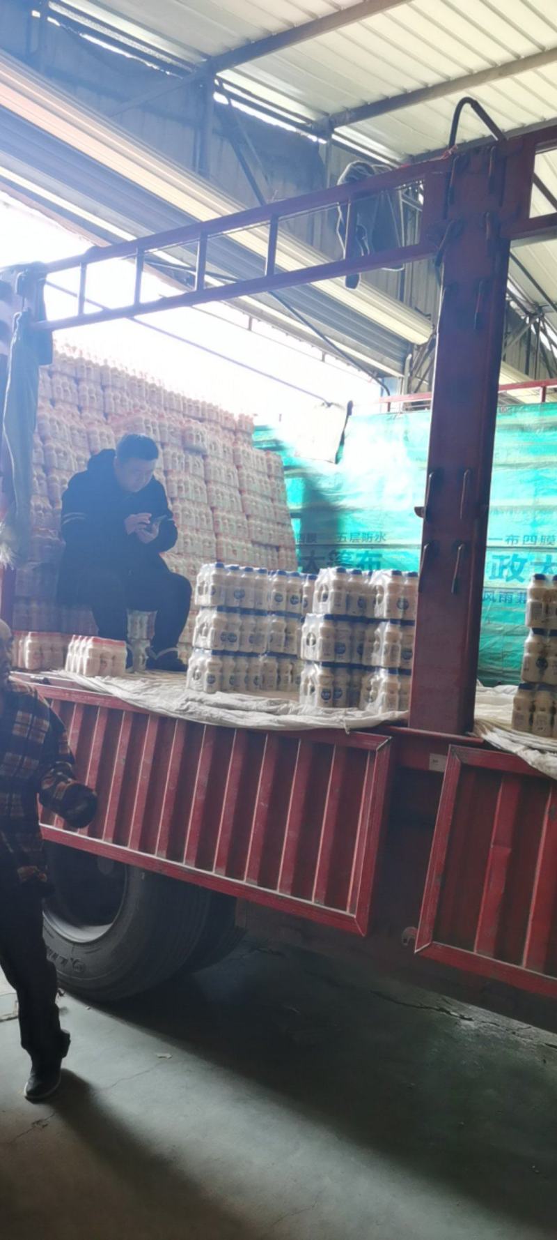 [热卖]达利园乳酸菌，一件12瓶，草莓味原味都大量现货