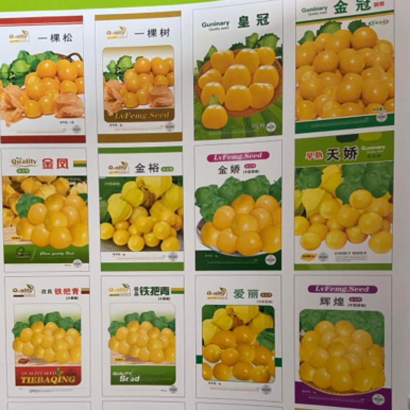 厂家批发菇娘果种子大黄菇娘中菇娘果小菇娘果品种齐全