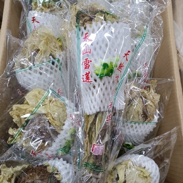 正宗新疆天山雪莲花干货，正宗正品雪莲花花