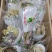 正宗新疆天山雪莲花干货，正宗正品雪莲花花