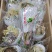 正宗新疆天山雪莲花干货，正宗正品雪莲花花