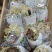 正宗新疆天山雪莲花干货，正宗正品雪莲花花