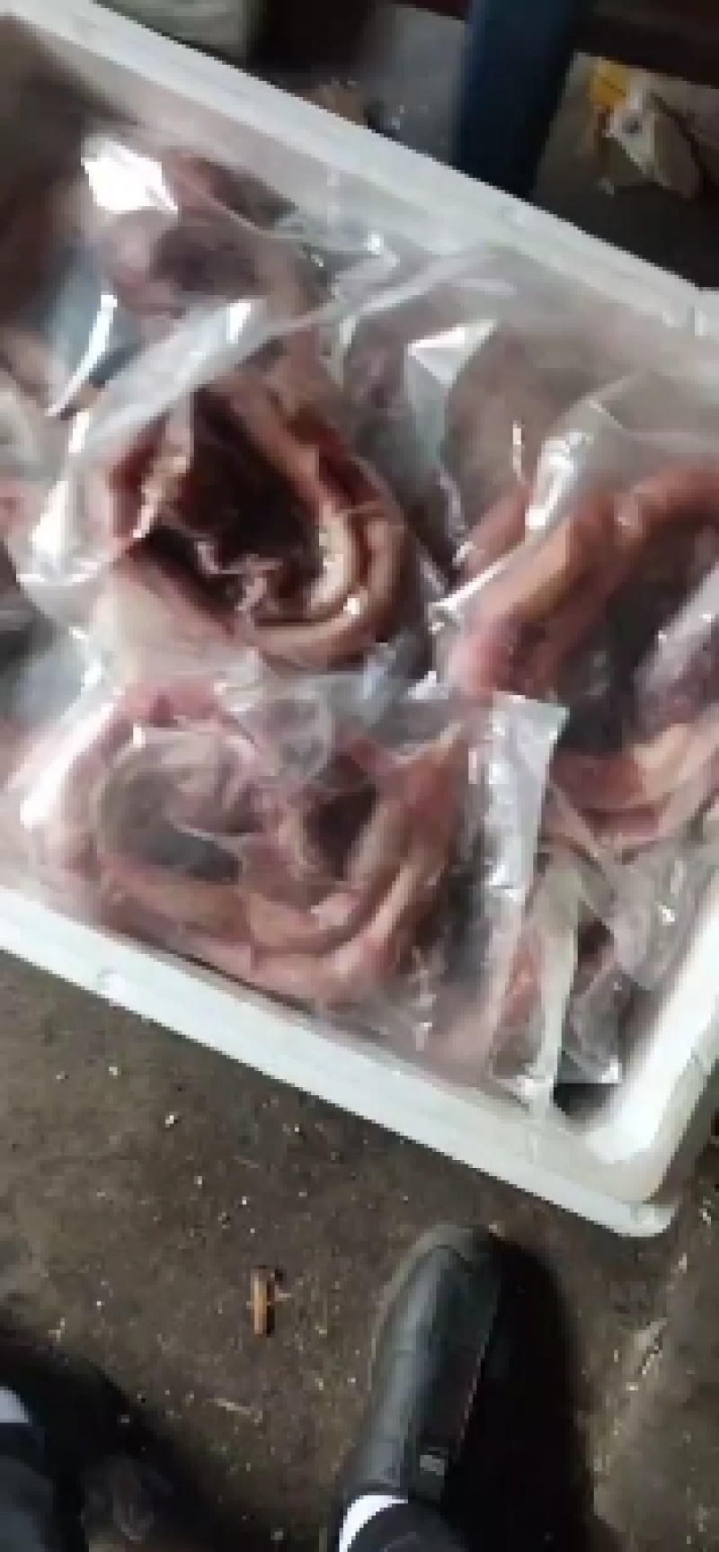 牛鞭，牛鞭宝。纯牛鞭，牛宝