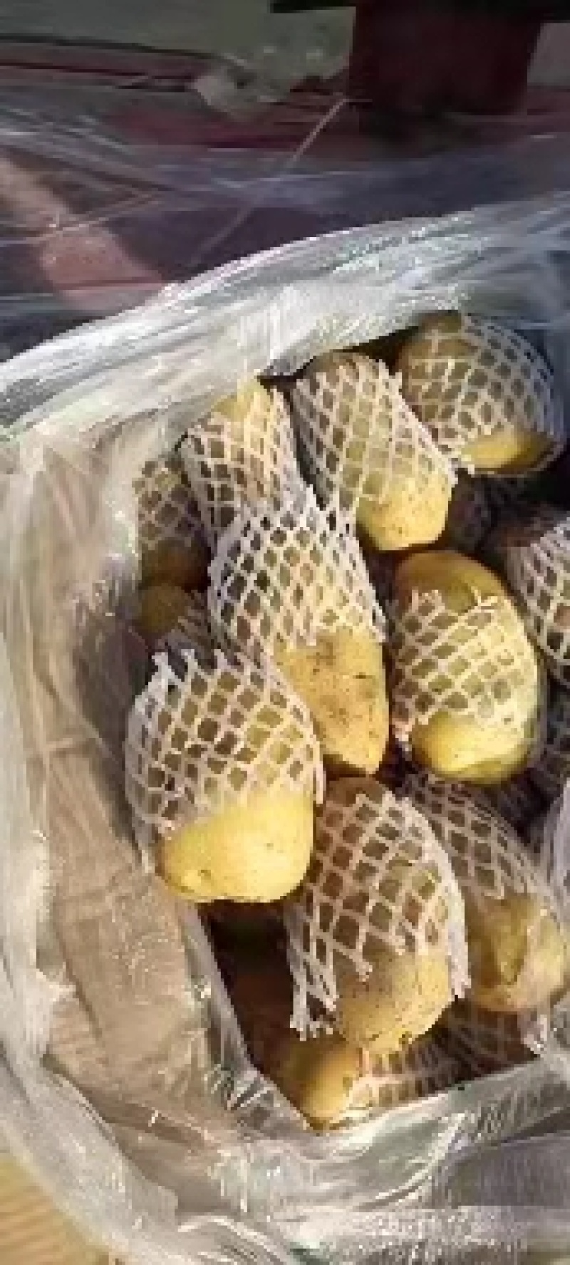山东冷库黄心土豆荷兰十五V7土豆大量供应，货源充足，