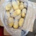 山东冷库黄心土豆荷兰十五V7土豆大量供应，货源充足，