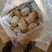 山东冷库黄心土豆荷兰十五V7土豆大量供应，货源充足，